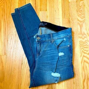 Torrid Bombshell Skinny Jean in Medium Wash